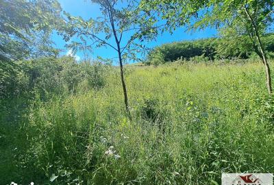 Teren de 500 mp, în Ciugud - 2