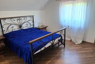 Casă cu 4 camere cu Teren 2500 Mp în Mărgineni - 13