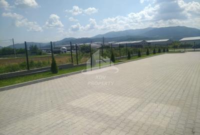 Spațiu comercial, de 1,274 mp, în Colonia Tălmaciu - 9