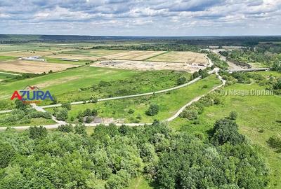 AZURA Imobiliare - Teren Topoloveni Bamesa Autostrada - 6