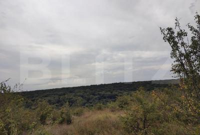 Teren de 6291 mp, în Leamna de Jos - 1