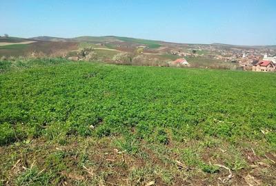 Teren de 3300 mp, în Râciu - 3