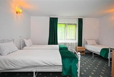 In cartea de povesti a Pietrei Craiului, ansamblu turistic in circuit,Plaiul Foi - 2