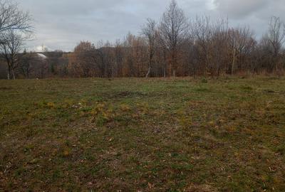 Teren Construcții intravilan de 4062 mp, în Cătunu (Drajna) - 12