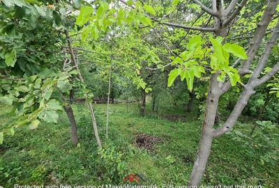 Casă cu 3 camere cu Teren 3073 Mp în Telega - 8