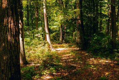 Crevedia, Dambovita - 7