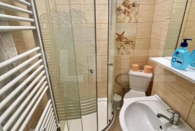 Garsonieră în Brazda lui Novac - 4