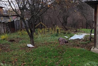 Casă individuală cu 4 camere cu Canalizare în Băicoi - 8