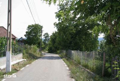 Teren de 5844 mp, în Valea Danului - 3