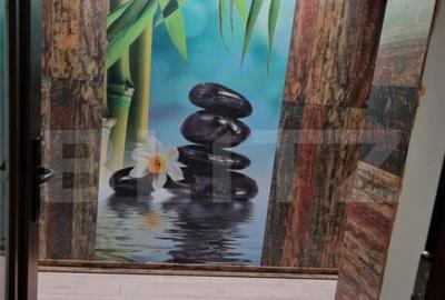 Casa individuala, 380mp, 650mp teren, zona Ipotesti - 13