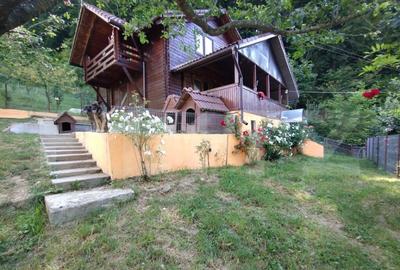 Cabana 3 cam,2 nivele 100 mp+teren extravilan 2,5 ha+1 ha pa - 4