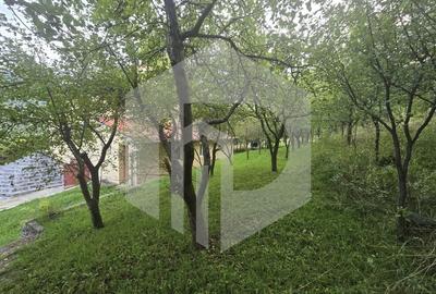 Casa individuala 4 camere teren 3825 mp Cisnadioara - 10