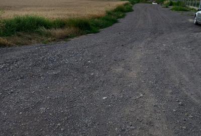 Teren de 12000 mp, în Țintești - 3