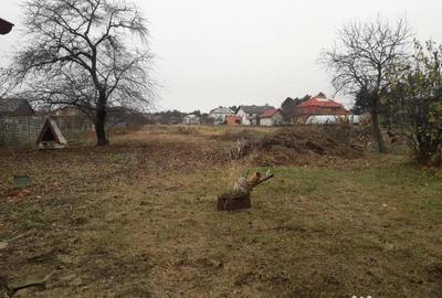 Casă cu 3 camere cu Teren 1800 Mp în Plopeni - 4