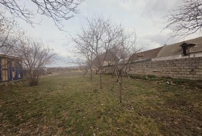 Casă individuală cu 4 camere cu Canalizare în Bod - 22