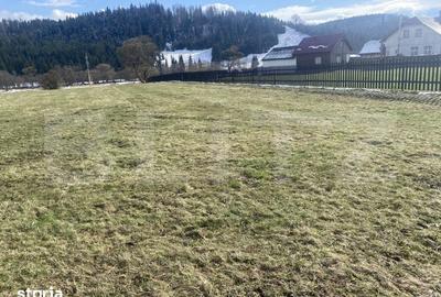Teren de 12500 mp, în Poiana Stampei - 3