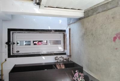 Particular vand casa Colentina Andronache - 3