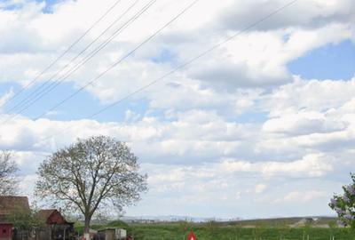 Spațiu comercial, în Coșlariu - 2