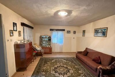 Proprietate completa in Sacuieni- Doua Case + Anexe - 10