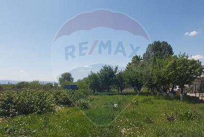 Vila individuala de inchiriat in Sibiu, cu teren de 1.000 mp Vila individuala de inchiriat in Sibiu, cu teren de 1.000 mp - 14