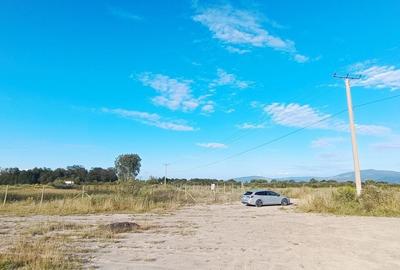 Teren  si lac in Harman - 1