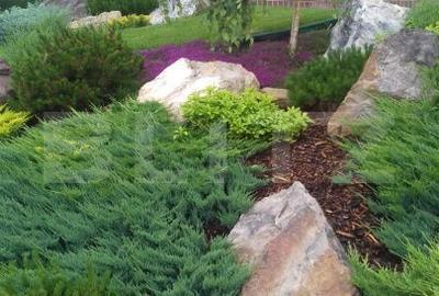 Casă cu 4 camere în Sud - 8