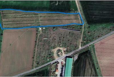 Teren de 22800 mp, în Mereni - 2