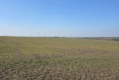 Teren de 4750 mp, în Mischii - 2