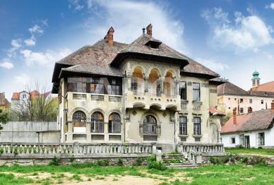 Vila interbelica isi asteapta cu speranta tacuta noul proprietar - 3