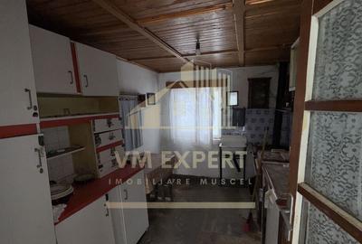 CASA 4 CAMERE TEREN 3038 MP ALBE?TII DE MUSCEL - 7