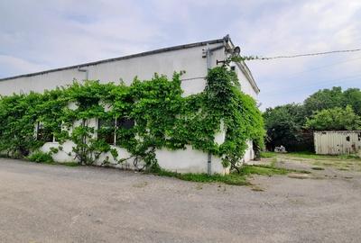 Spațiu industrial, de 315 mp, în Bartolomeu - 9