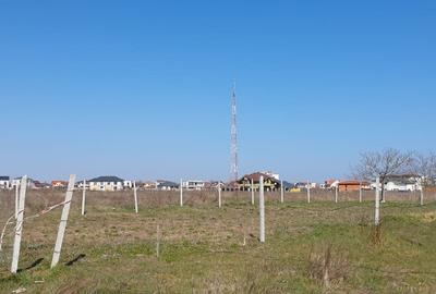 Veterani / 500 mp - 5