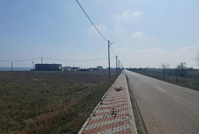 Vanzari terenuri in Costinesti zona Golful Francez - 4