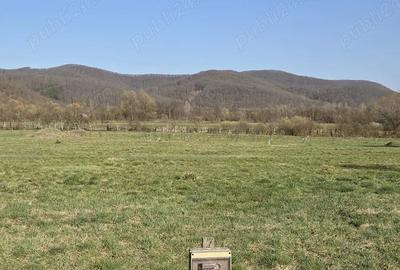 Teren de 8905 mp, în Seliște - 1