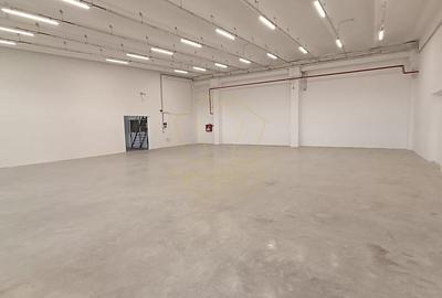 Spatiu Depozitare si Birouri | Zona Industriala Freidorf | Acces Auto/TIR - 2