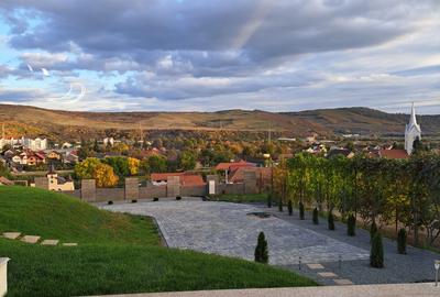VILA NOUA,MODERNA CU 2100 METRI PATRATI TEREN-VIISOARA - 20