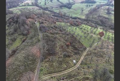 Teren de vânzare in Groși, Maramureș, 55 ari - 3