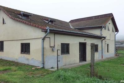 Casă cu 8 camere în Teiu - 2