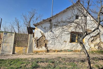 Teren de 527 mp, în Carani - 3