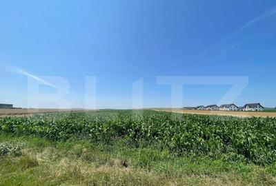 Teren Intravilan, 10300 mp, zona Mitocului - 3