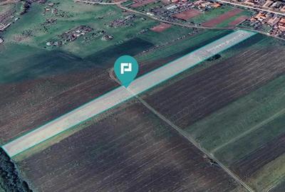 TEREN REMETEA MICA, JUDE?UL TIMI? - 8