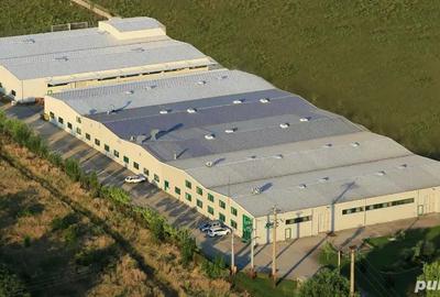 Hala productie 8000 mp - 3