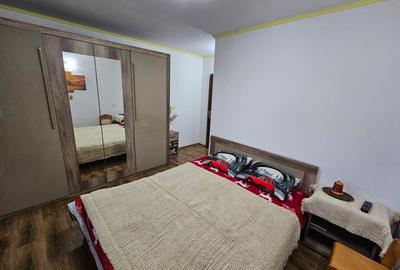 Casa Orastie - 10