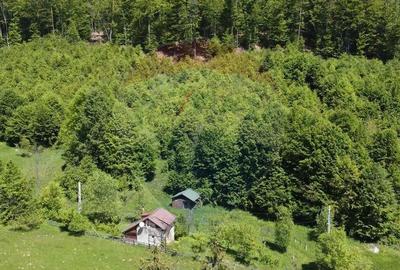 Comision 0%! Proprietate in natura, priveliste superba, S... - 3