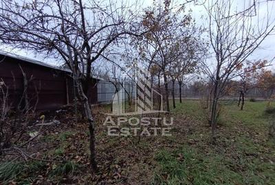 Casă cu 3 camere cu Teren 300 Mp în Freidorf - 3