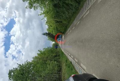 Teren Lacul Surduc Fardea - 3