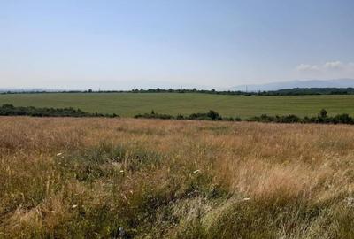 Teren de 5000 mp, în Central - 2