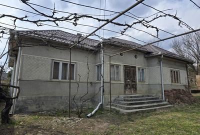 Casă cu 3 camere cu Teren 1000 Mp în Ceaca - 1