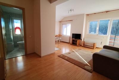 Apartament 2 camere si 2 balcoane in vila vedere la munte - 4