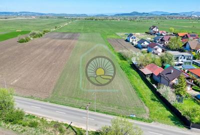 TEREN  BRASOV- STUPINI/ DEZVOLTARE IMOBILIARA - 6